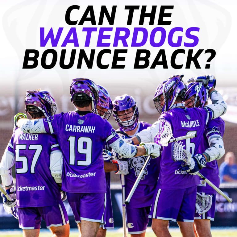 Can the Waterdogs Jump Again?