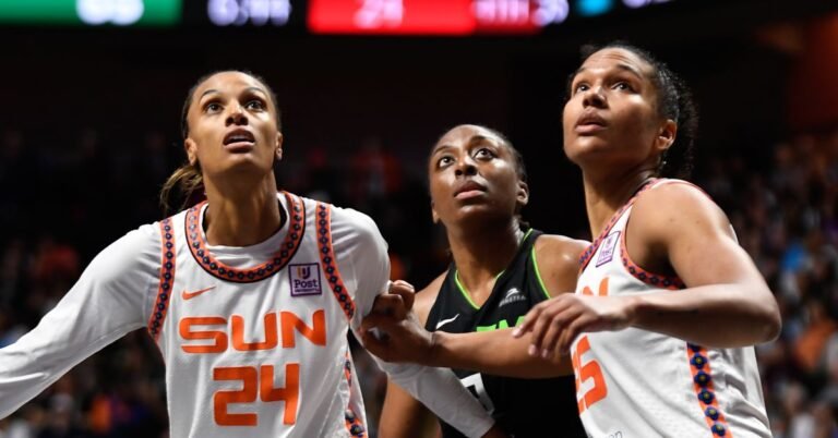 WNBA: Giant adjustments anticipated in 2025 loose company
