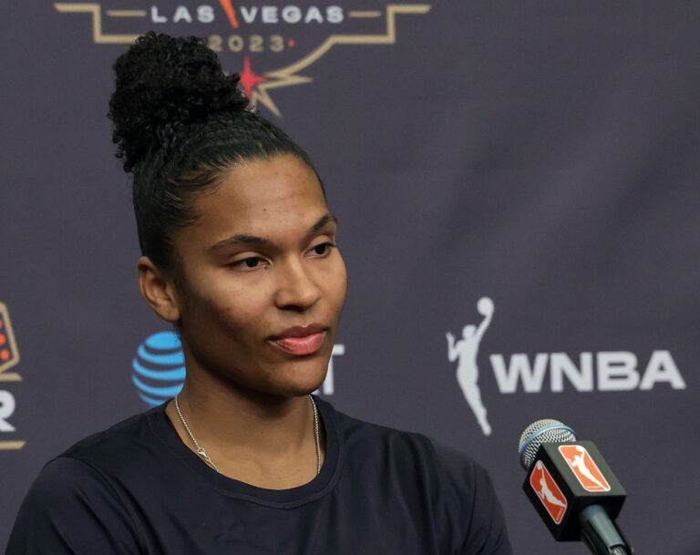 WNBA denounces poisonous fan habits throughout record-setting postseason