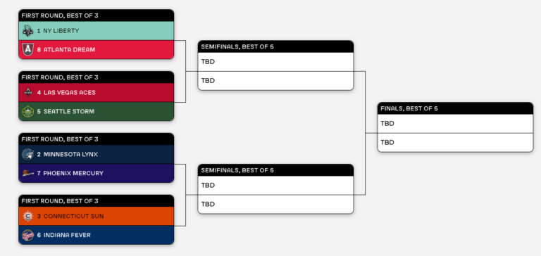 The entirety you wish to have to grasp concerning the 2024 WNBA playoffs