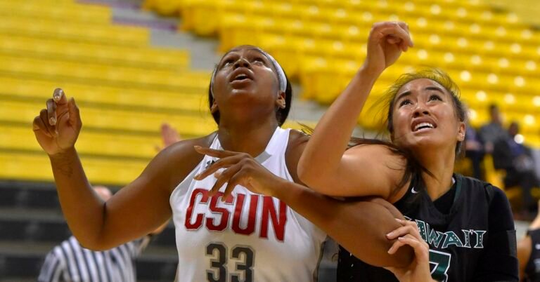 FIBA: Former CSUN standout Channon Fluker talks dominating in Turkey