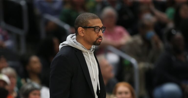 WNBA: Chicago Sky to call Tyler Marsh subsequent head trainer