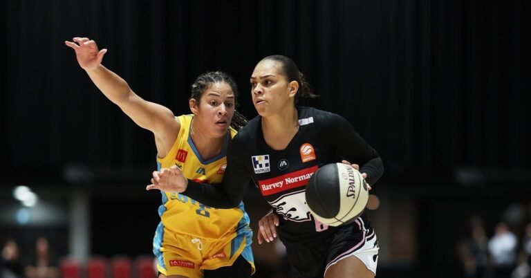 WNBL: Former LA Sparks draft select Shaneice Swain impresses for Flames