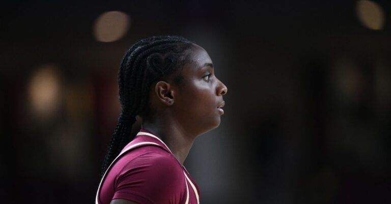 NCAAW: May transfers take South Carolina again to the name in 2026?