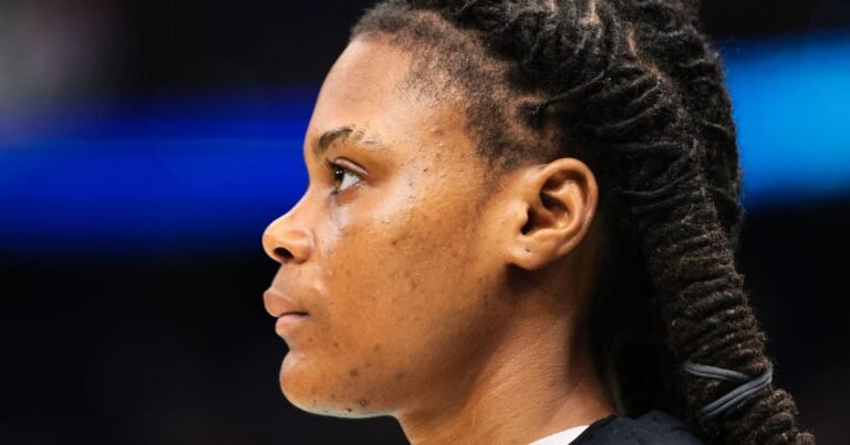 NCAAW: May just transfers take South Carolina again to the identify in 2026?