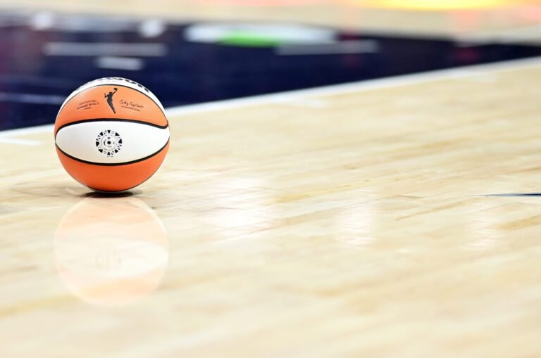 Cryptocurrency Team Claims Accountability for WNBA Intercourse Toy Stunts