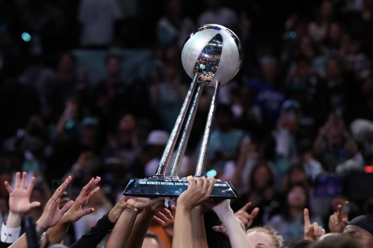 WNBA Locks in 8-Workforce Playoffs Bracket Forward of Sunday Tip-Off