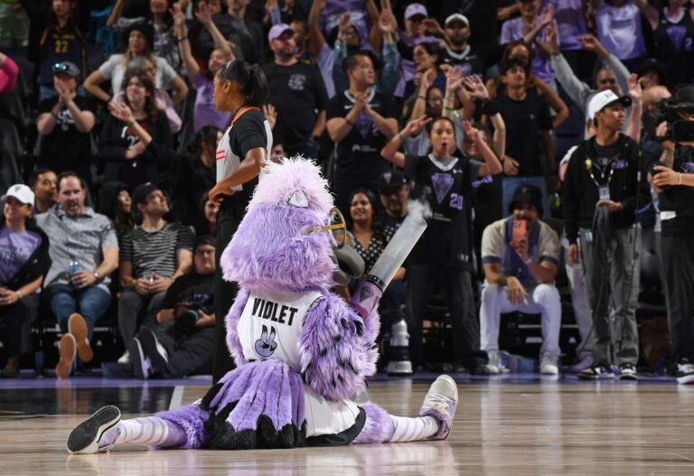 2025 Growth Crew Golden State Valkyries Spoil WNBA Attendance File