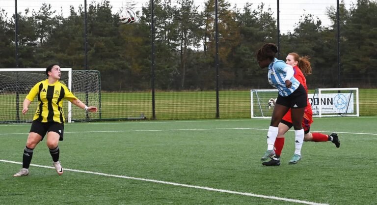 Falkirk and Queen of the South open up leads at most sensible of Barclays leagues